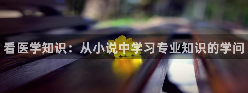 八零电子书下载txt免费下载全本