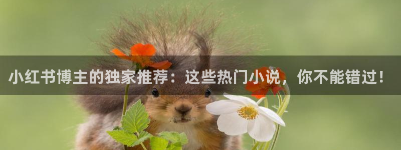 小说八零娇娇女