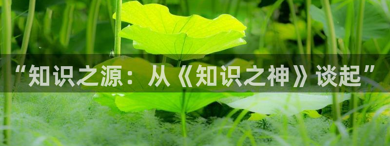 新宋txt下载八零：“知识之源：从《知识之神》谈起”