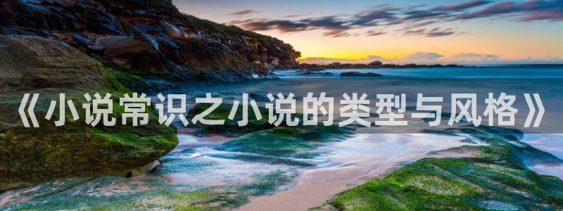 我的26岁女房客txt八零电子书：《小说常识之小说的类型与风格》